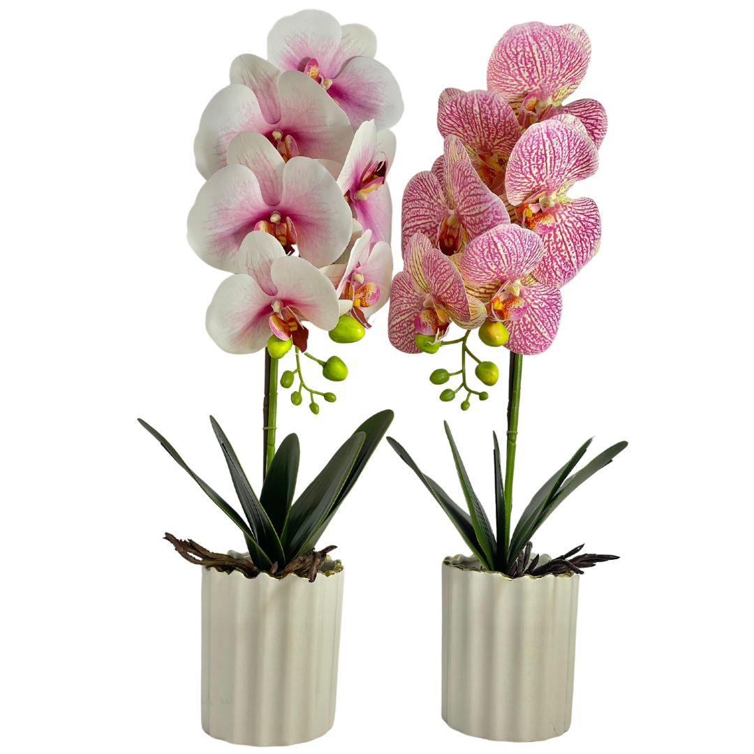 Orchid Planter Pot