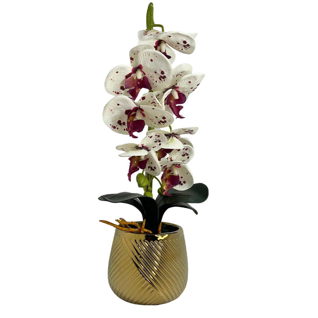Vanda Planter Pot