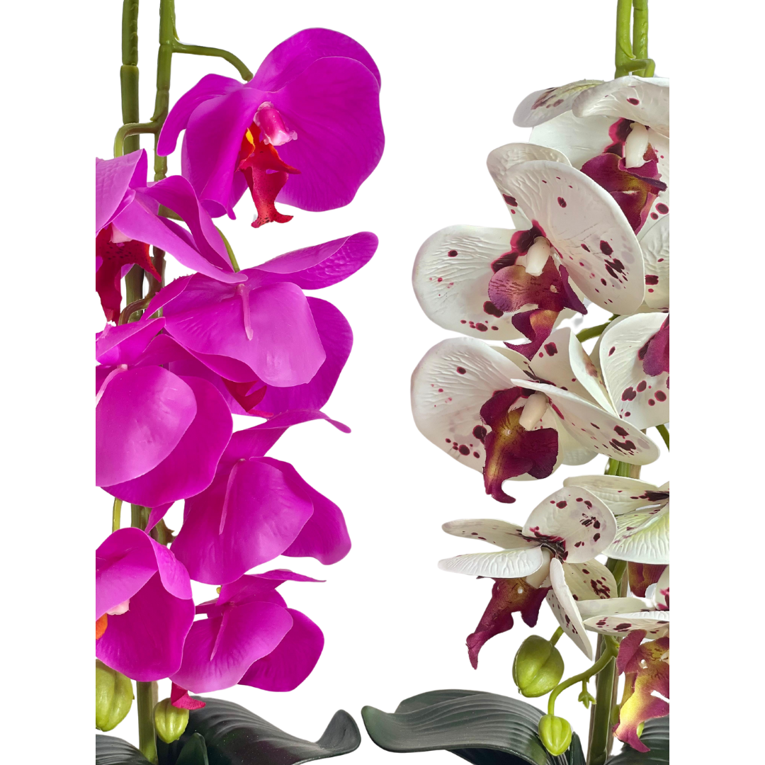 Vanda Planter Pot