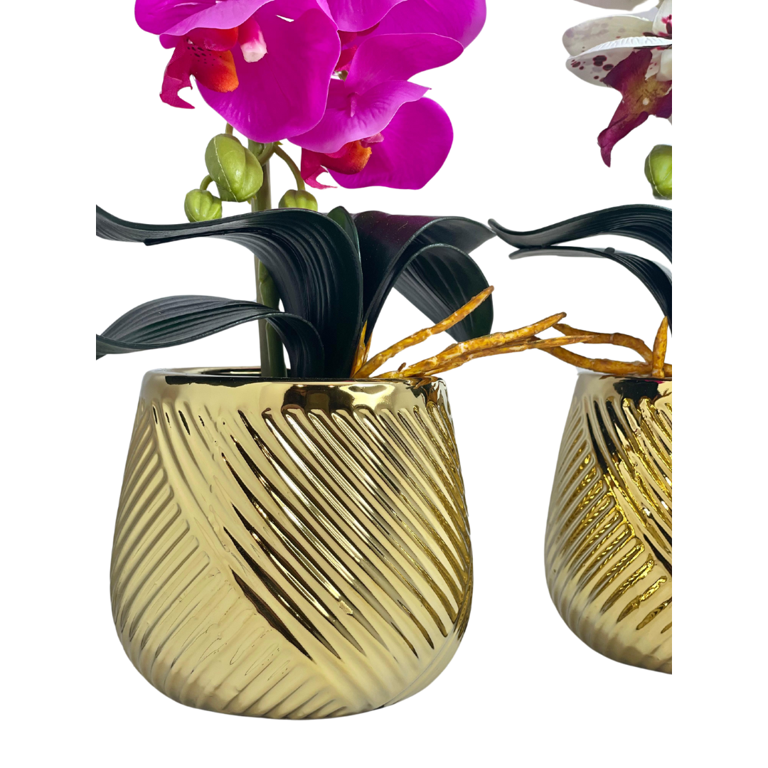Vanda Planter Pot