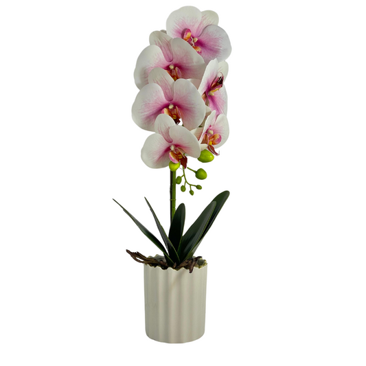 Orchid Planter Pot