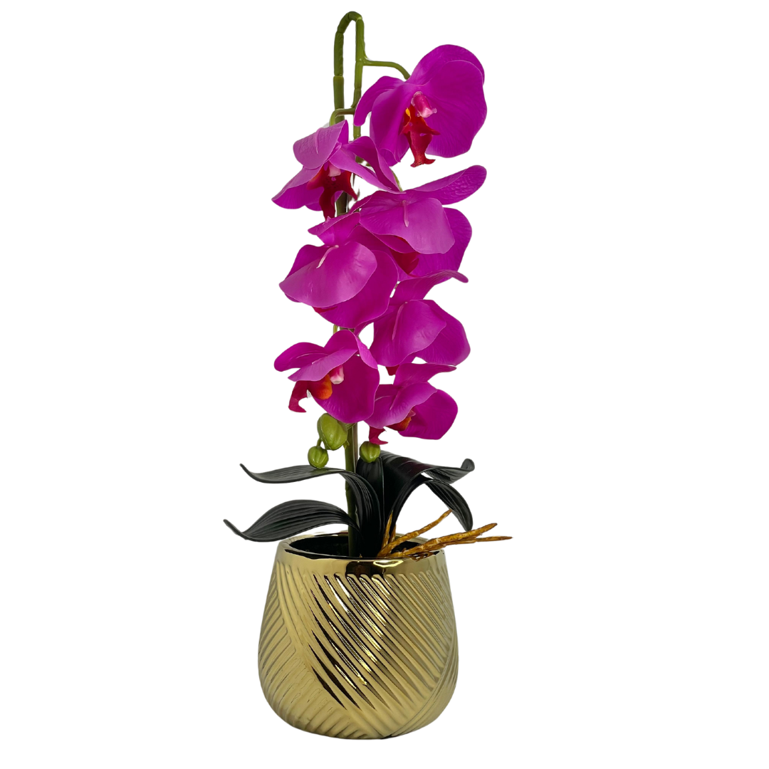 Vanda Planter Pot