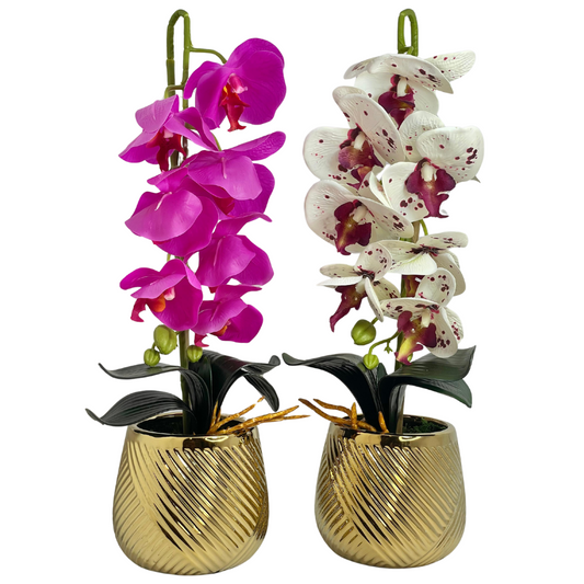 Vanda Planter Pot